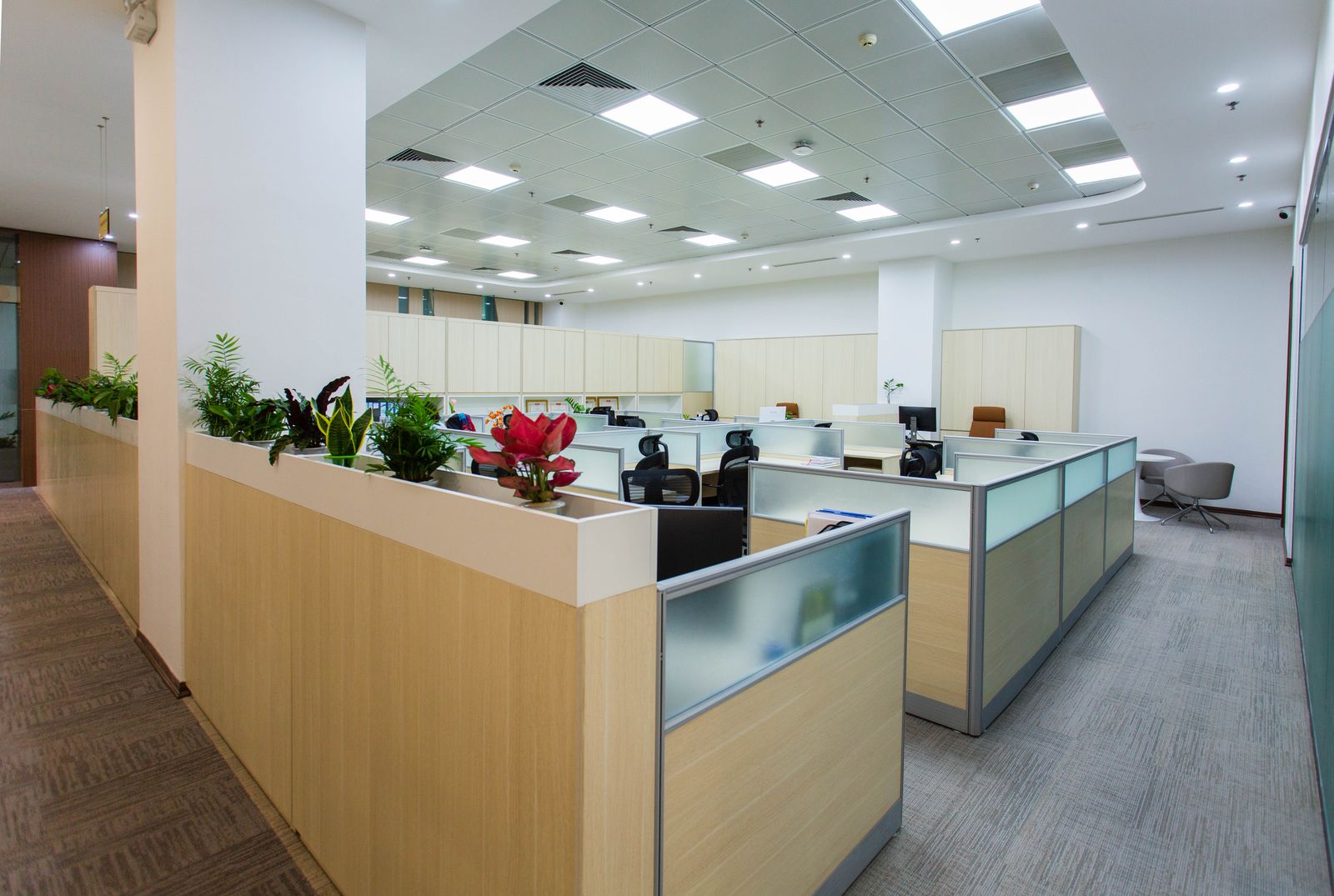 Bright open-plan office with workstations and plants