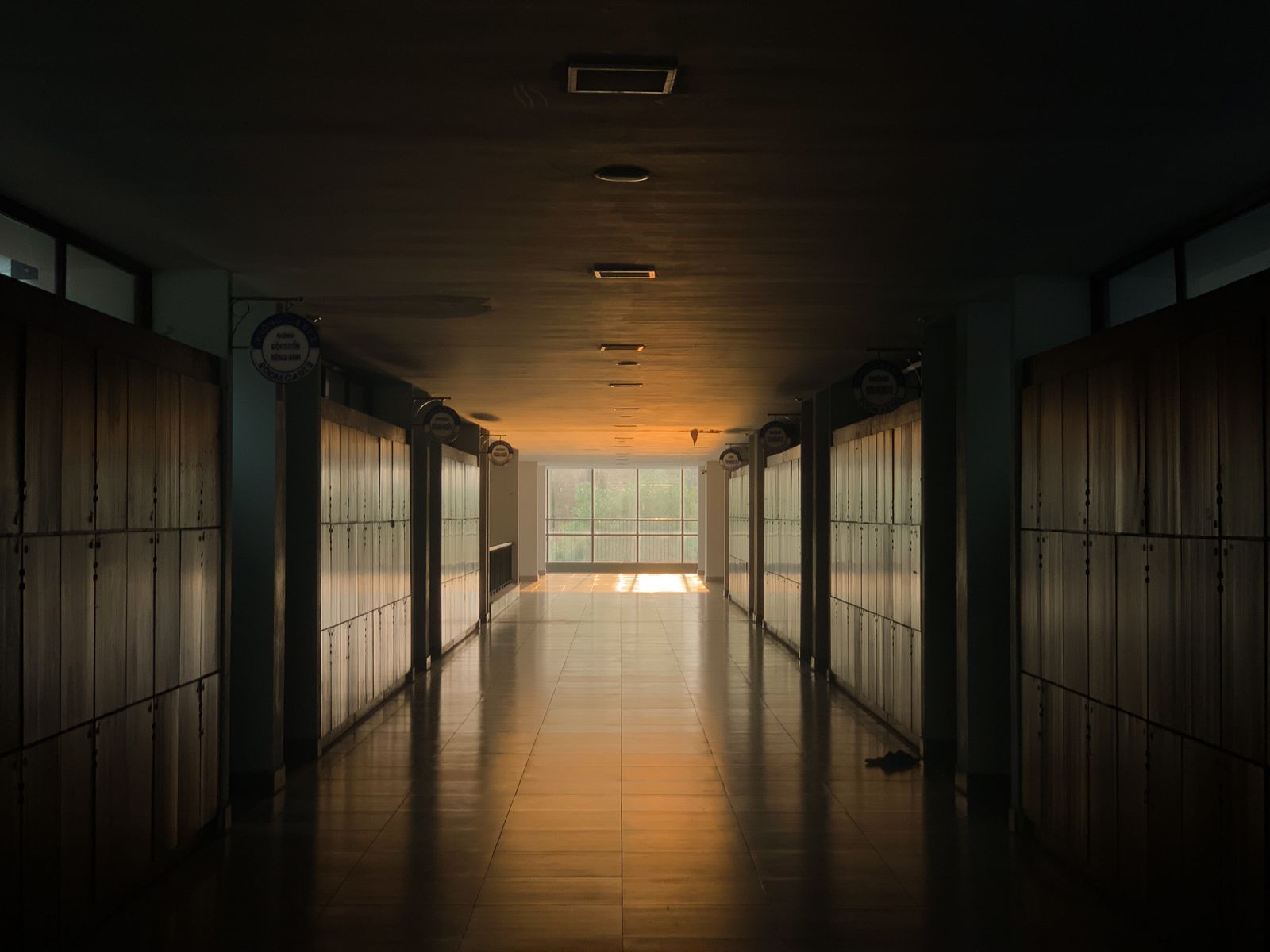 Sunlit empty school corridor lined with lockers
